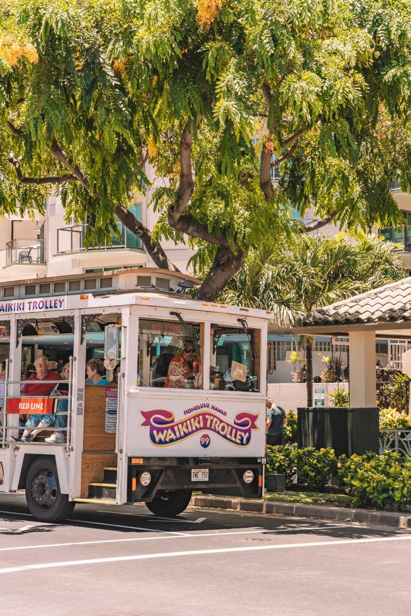 Ocean & Diamond Head Views - Near Beach - Parking! Χονολουλού Εξωτερικό φωτογραφία
